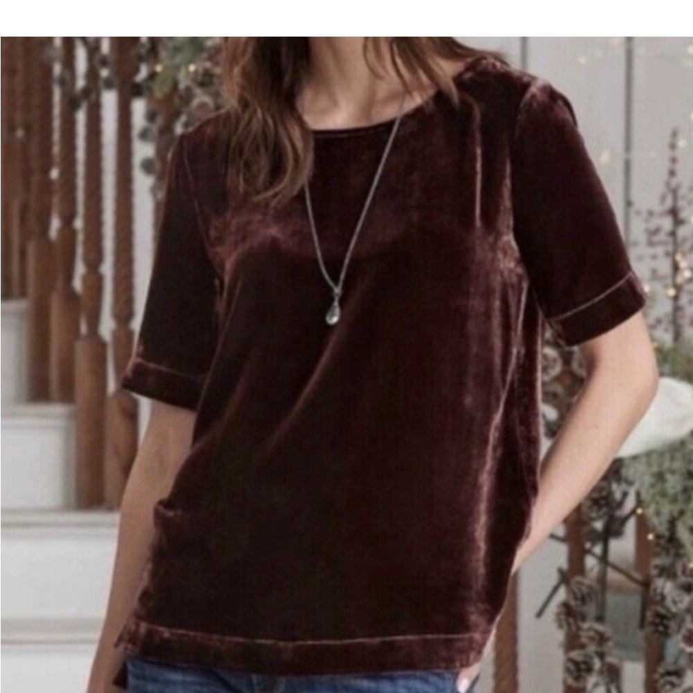 Sundance Brown Velvet 'Forever' Tee